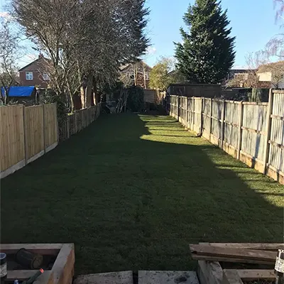 narrow lawn