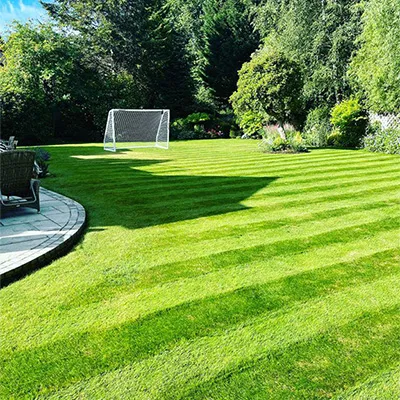 goal and lawn