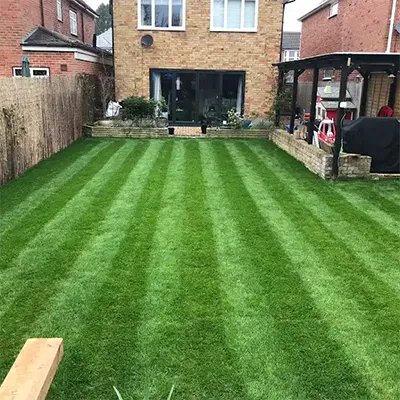lawn