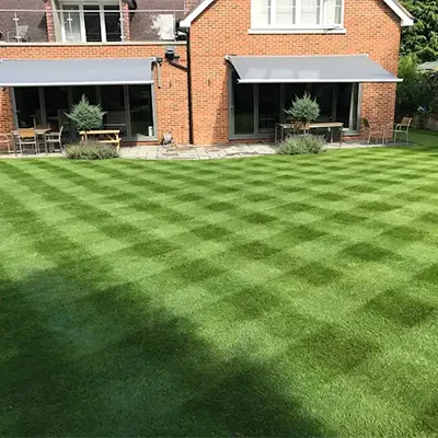 loved lawn