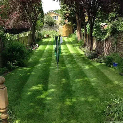 striped lawn