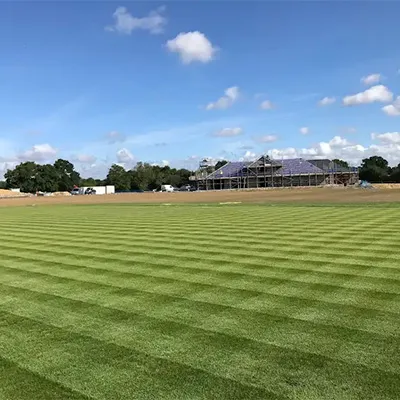 field